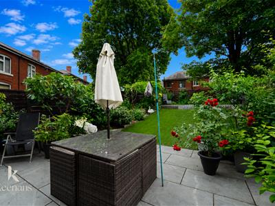 Picture 24